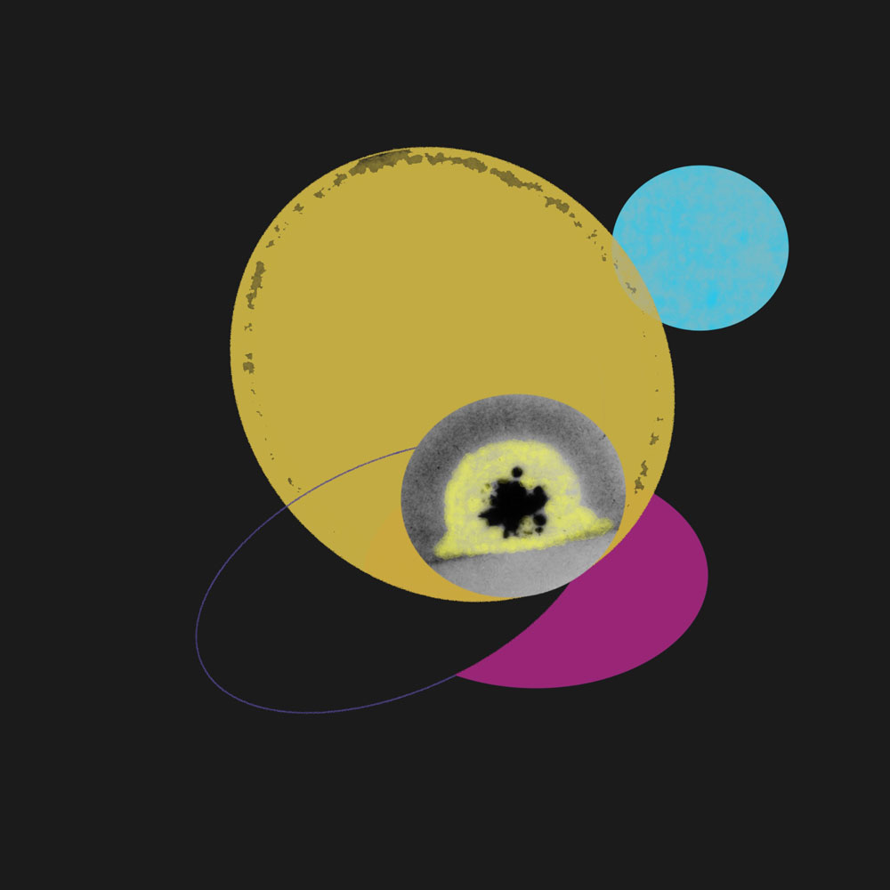 How Will We Save Ourselves?